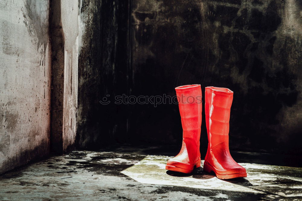 Similar – Man’s hand in red boxing gloves