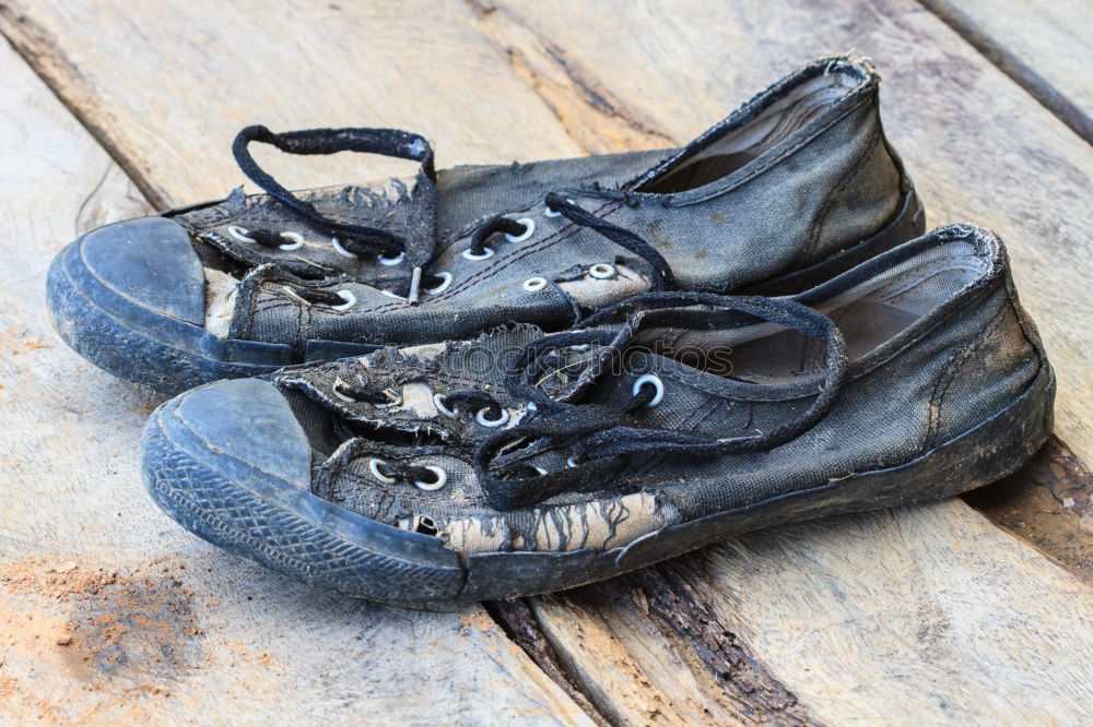 Similar – Image, Stock Photo Note: Never store leather shoes in a damp cellar.