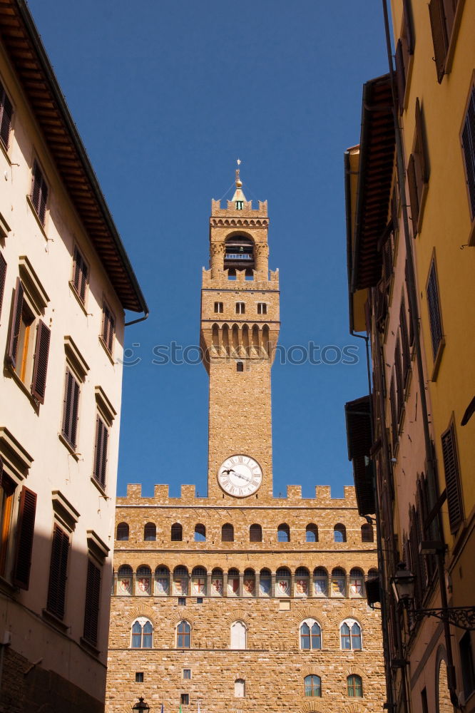 Similar – Image, Stock Photo Piazza del Campo, Siena (Italy)