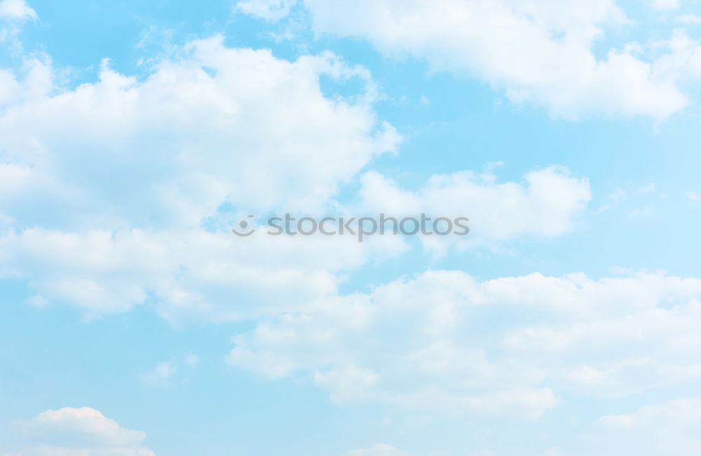 Similar – Foto Bild Schirmchen Himmel Sommer