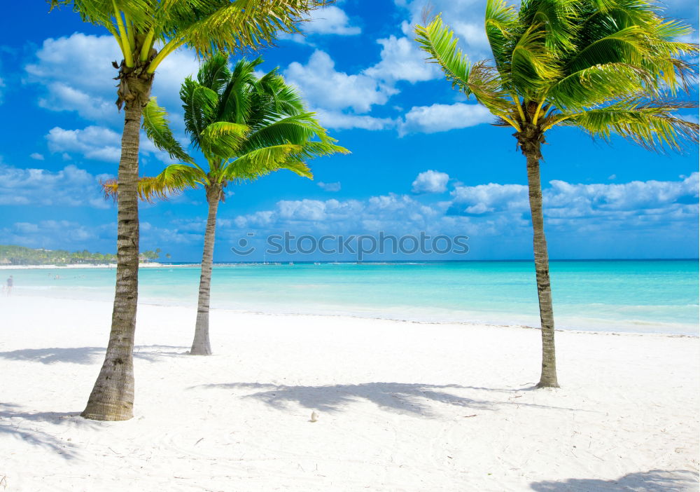 Similar – Saona Island near Punta Cana, Dominican Republic