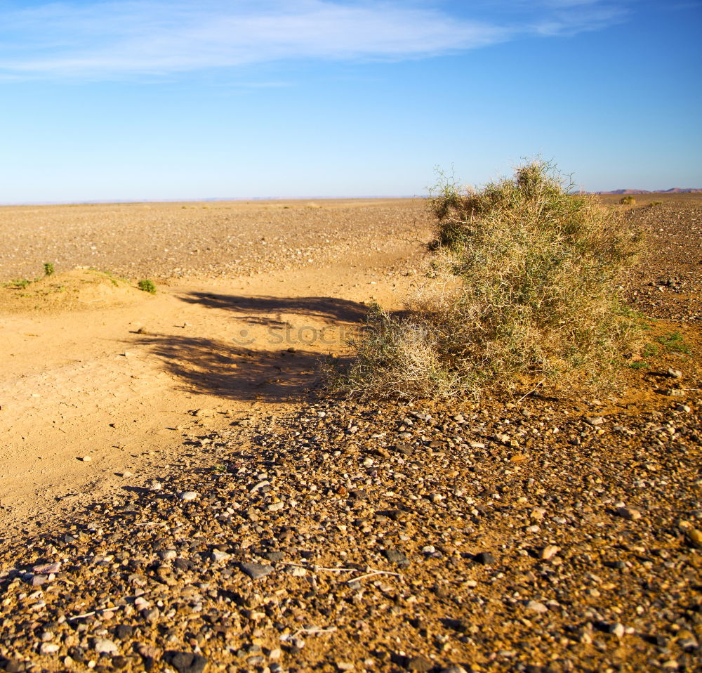 Similar – last exit Nature Landscape