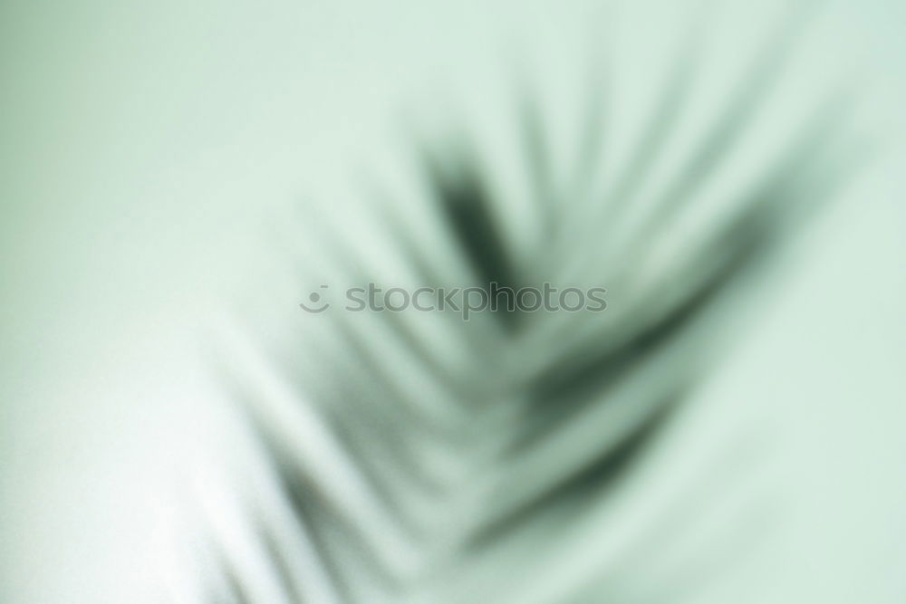 Similar – Image, Stock Photo cactus Cactus Green Plant