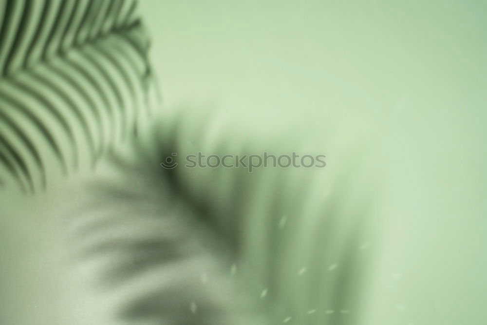 Image, Stock Photo unfolded (2) Animal Spring