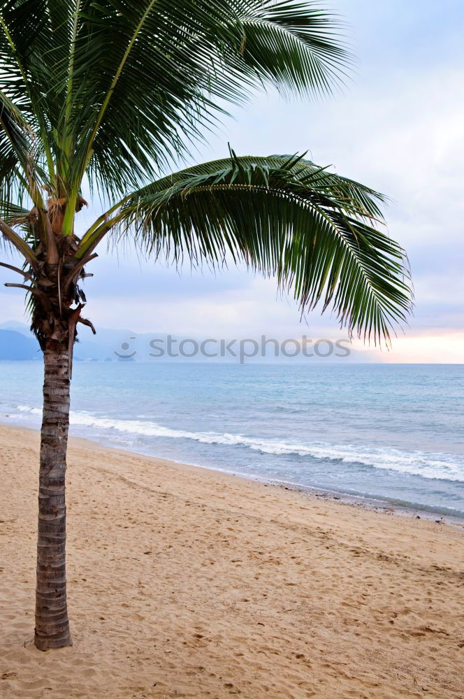 Similar – Image, Stock Photo the beach Beach Spain