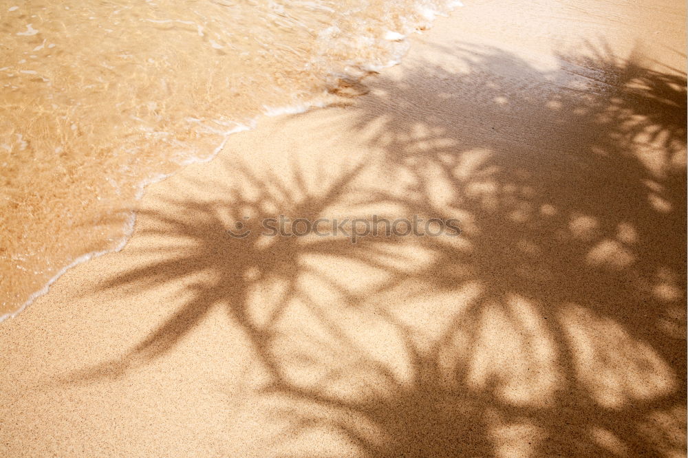 Similar – Image, Stock Photo by the sea II Ocean Water