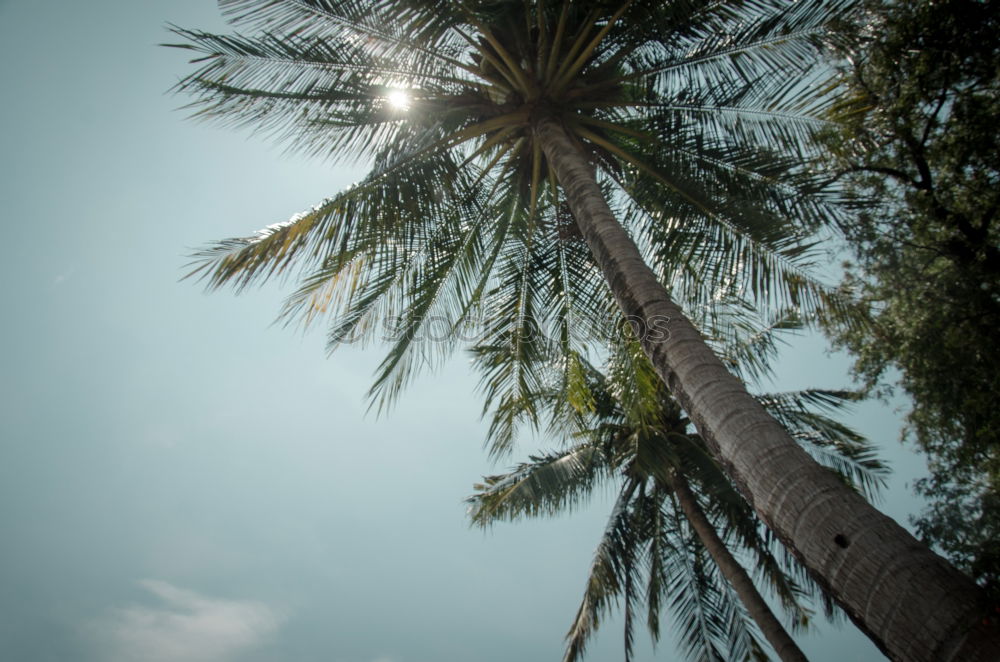 Similar – Foto Bild Italien bei 30 °C Neapel