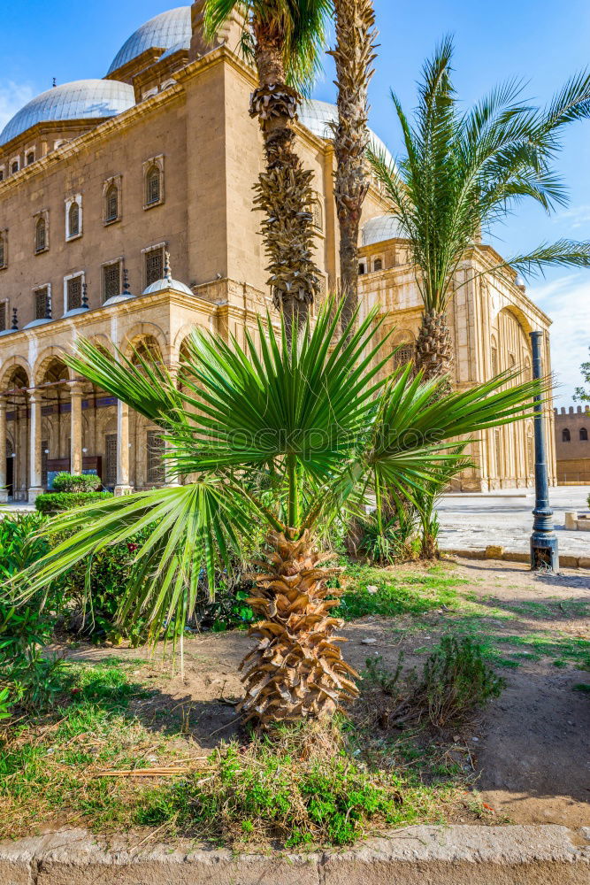 Similar – Image, Stock Photo Mosque in Kashan / Iran