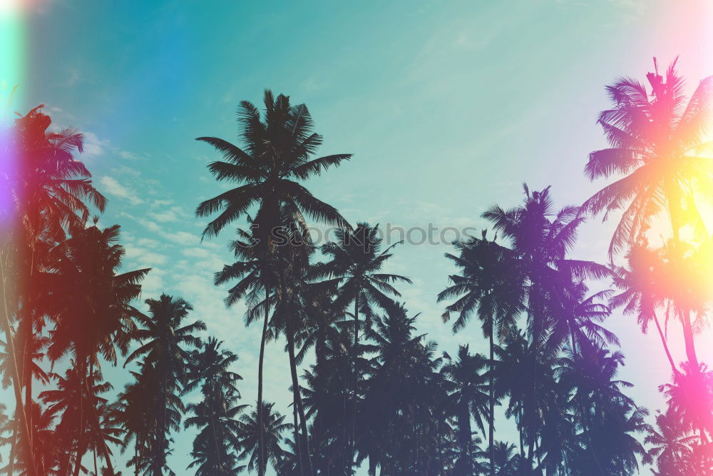 Similar – Image, Stock Photo Divided summer