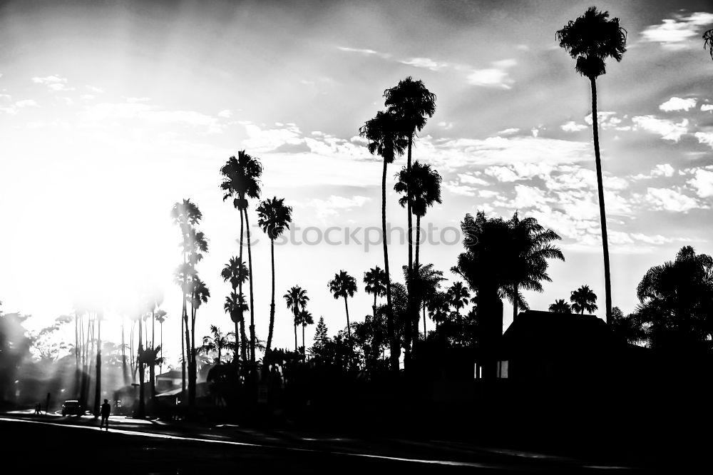 Similar – Image, Stock Photo Jackson Street Street sign