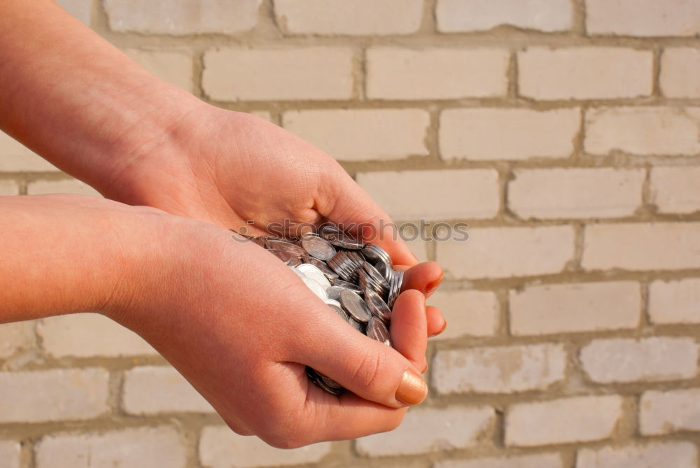 Image, Stock Photo favourite mussel Joy