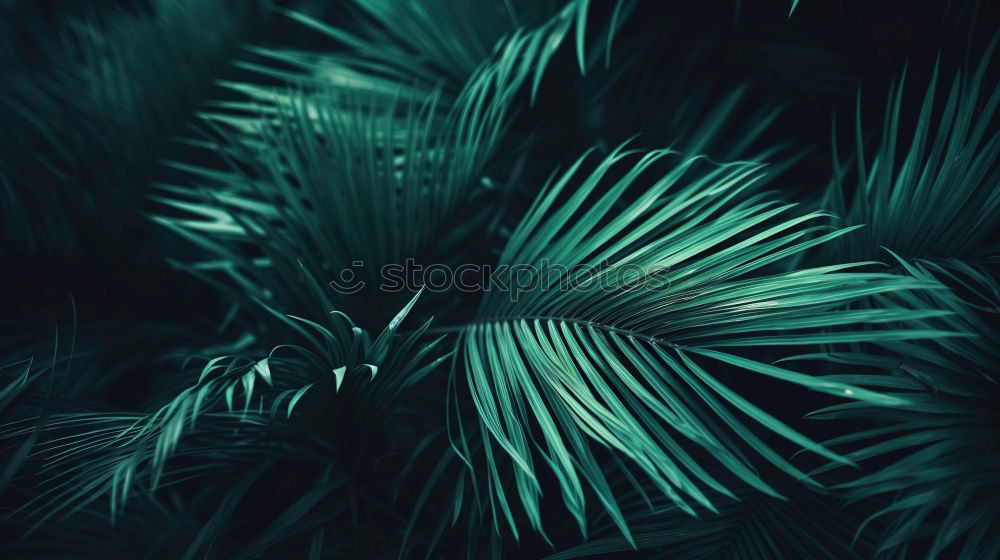 Similar – Image, Stock Photo tears. collect. Nature