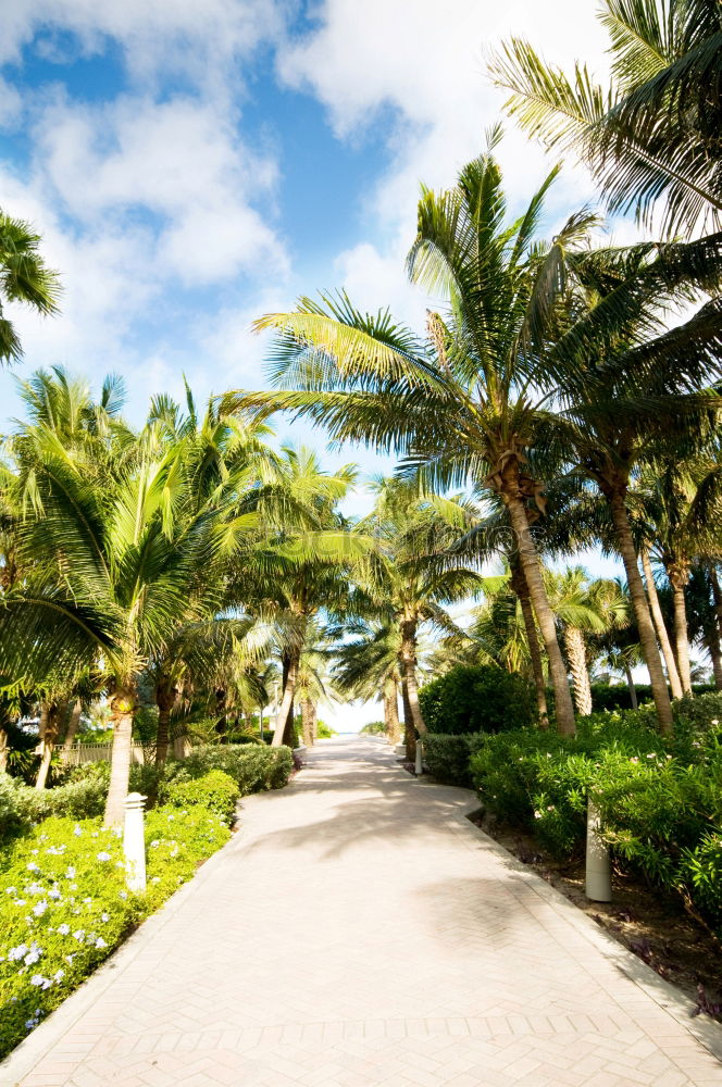 Similar – Zanzibar I Park Deserted