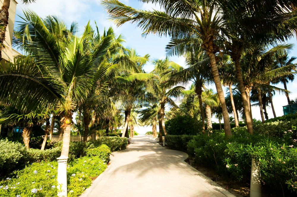 Similar – Zanzibar I Park Deserted