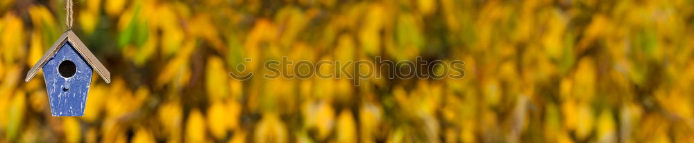 Similar – Image, Stock Photo Woman dancing barefoot in a meadow with flowing skirt. View through a tube