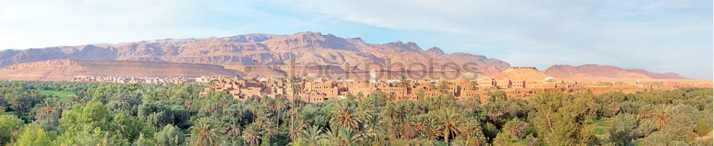 Similar – Image, Stock Photo in the empty desert of persia lamp oil on branch