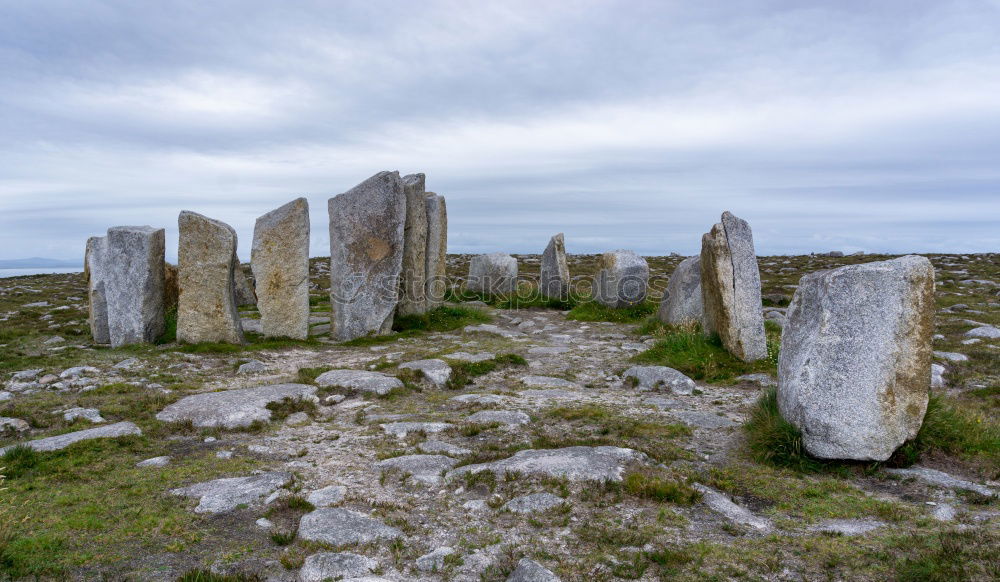 Similar – Image, Stock Photo standing stones Landscape