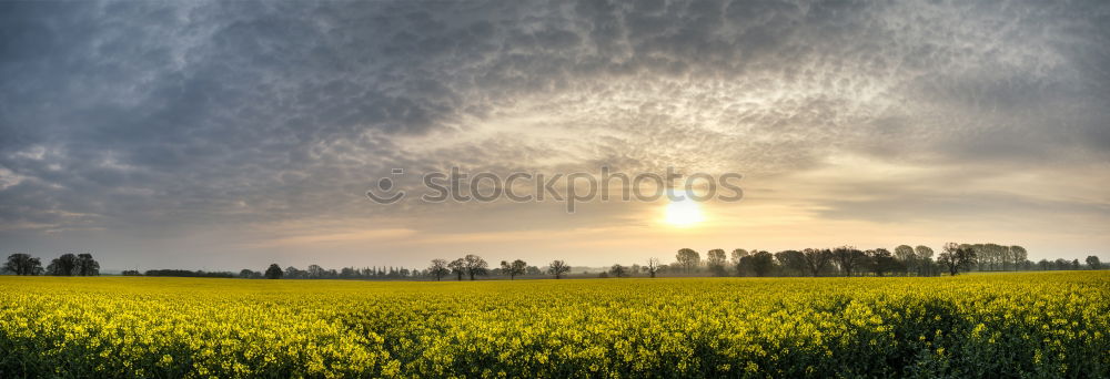 Similar – Spring sunrise in the hills of Podolia