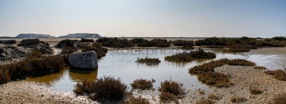 Similar – Image, Stock Photo Evening in Essaouira