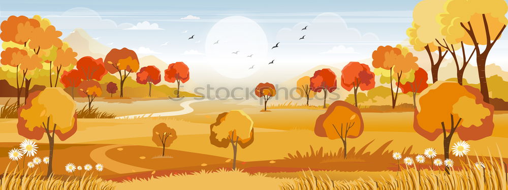 Similar – Herbst in Gold Natur