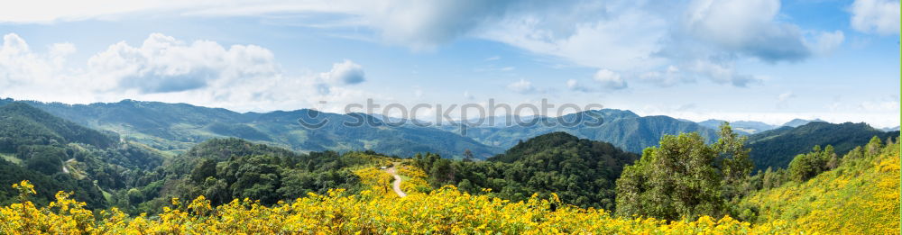 Similar – Fensterblick Wolken Wald