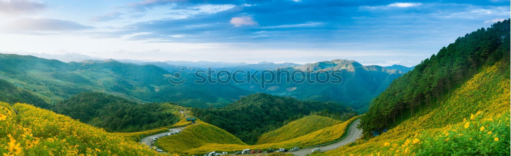 Similar – Image, Stock Photo Summer, that was beautiful!