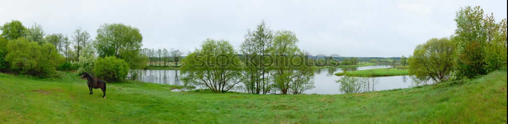 Similar – Foto Bild Bodenseepanorama Bregenz