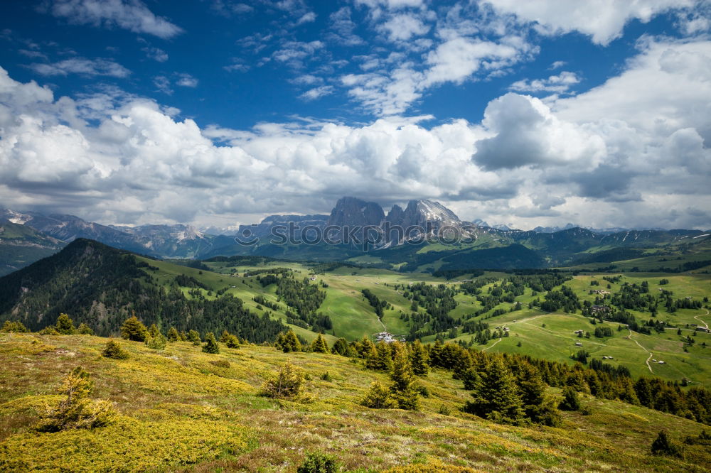 Similar – Image, Stock Photo High Ybrig Environment