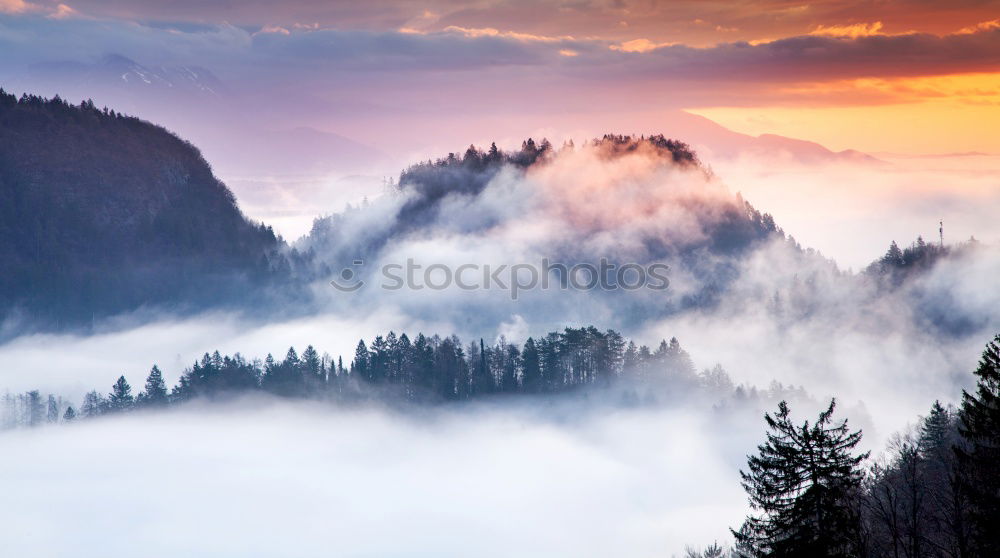 Similar – foggy sunrise in the Elbe Sandstone Mountains