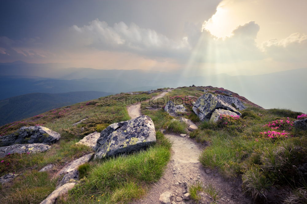 Similar – Image, Stock Photo cairn Environment Nature