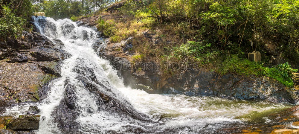 Similar – Foto Bild Wooroonooran schön