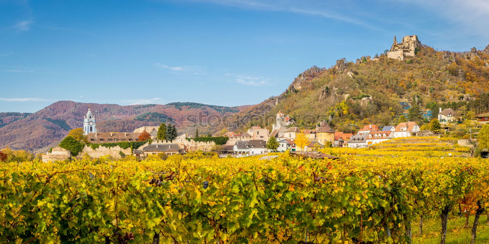 Similar – View of Bremm on the Mosel with Mosel loop