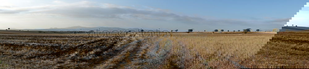 Similar – Foto Bild meine Welt Feld Sommer