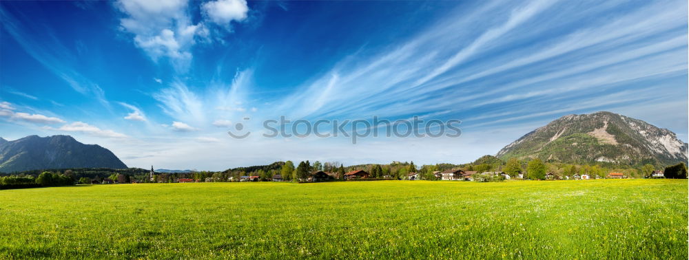 Similar – Image, Stock Photo riviera royal VII Grass