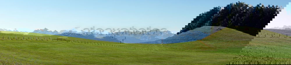 Similar – Image, Stock Photo Sassolungo Hiking