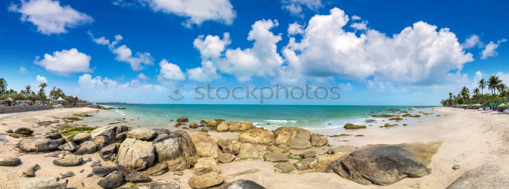 Similar – Coastal forest on the Baltic coast