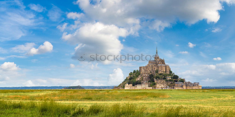 Similar – Mont-Saint-Michel and the sheep