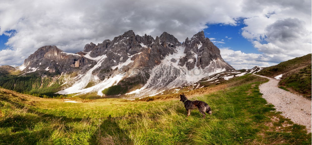 Similar – Rosszähne – Denti di Terrarossa – Seiser Alm