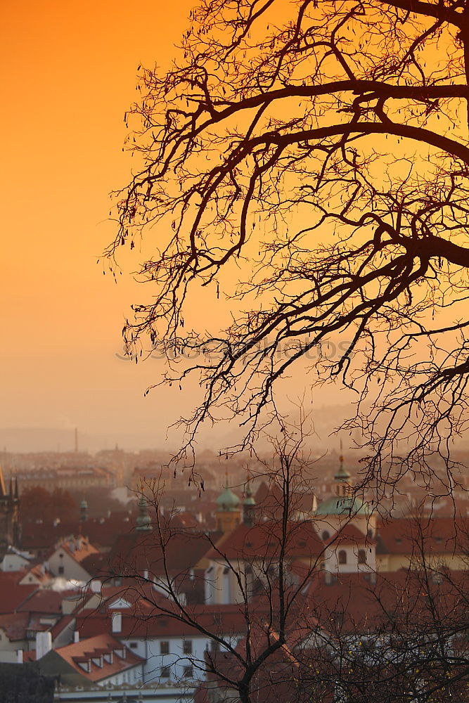 Similar – Image, Stock Photo resin Wernigerode Germany