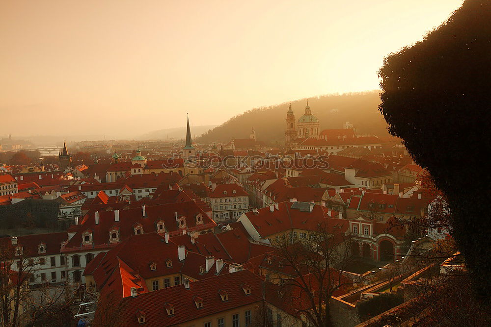 Similar – Image, Stock Photo View of the old town of Heidelberg at sunset