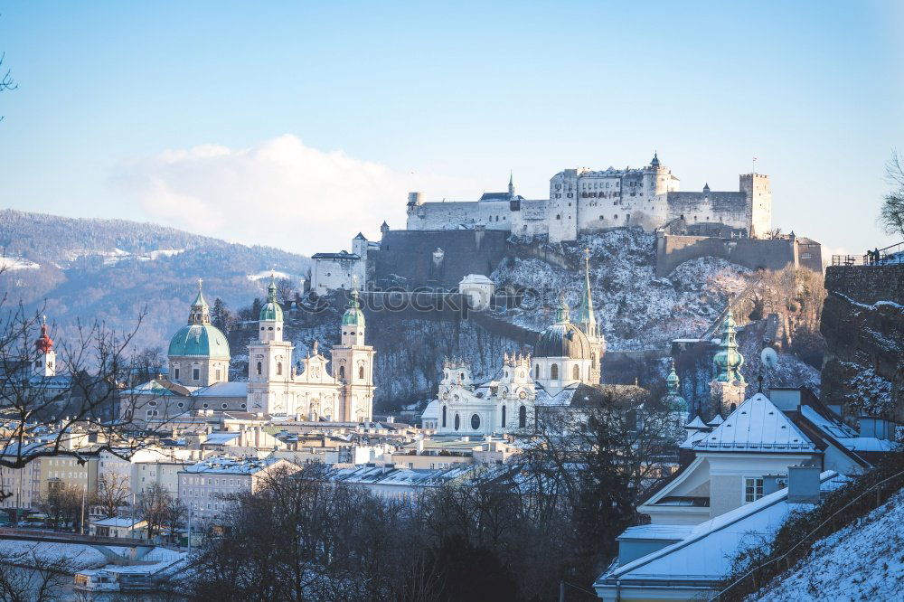 Similar – Image, Stock Photo Powdered sugar City