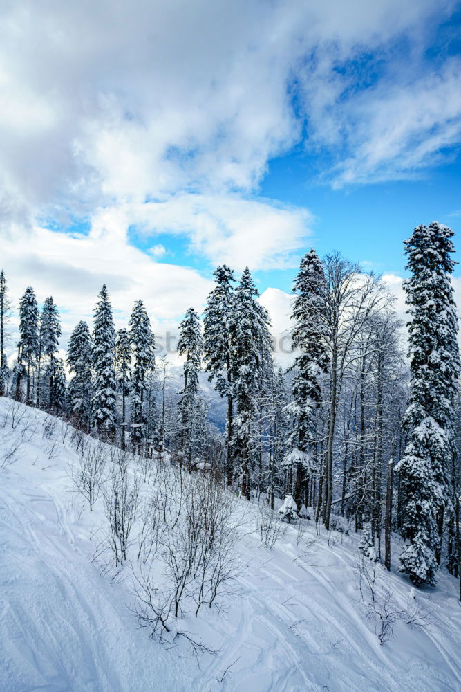 Similar – winter hike in the northern Black Forest on a sunny day