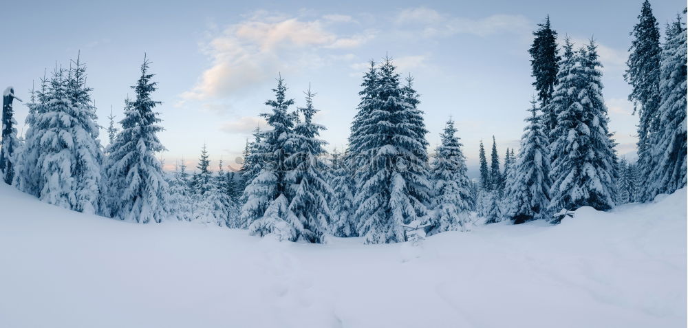 Similar – Image, Stock Photo winter hike in the northern Black Forest on a sunny day