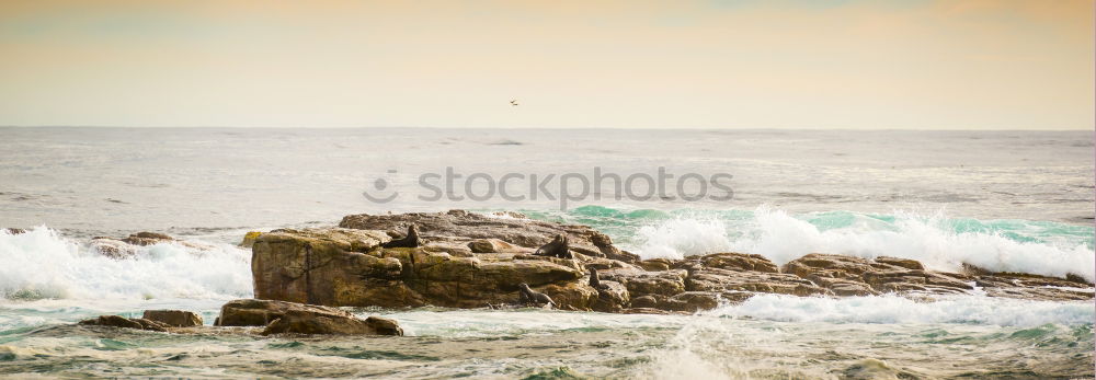 Similar – rocky coast Environment