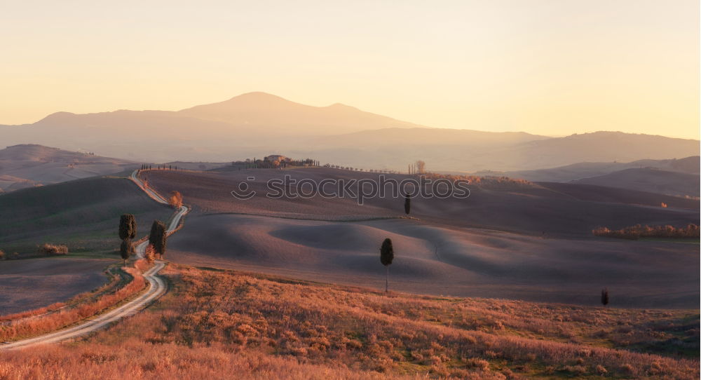 Similar – Dusk in the dunes