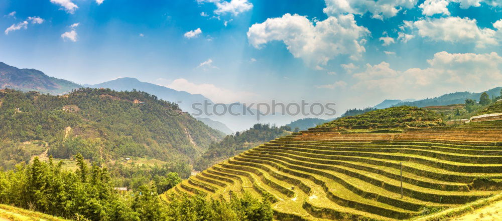 Similar – Image, Stock Photo Inca shrine gardens