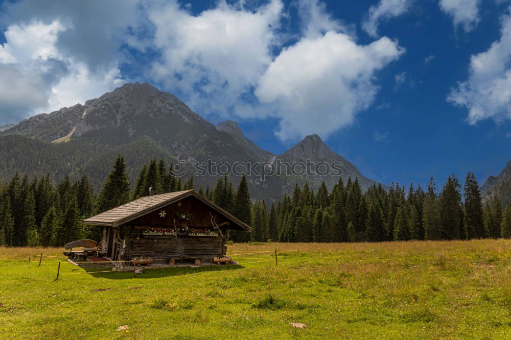 Similar – Image, Stock Photo the red window Environment