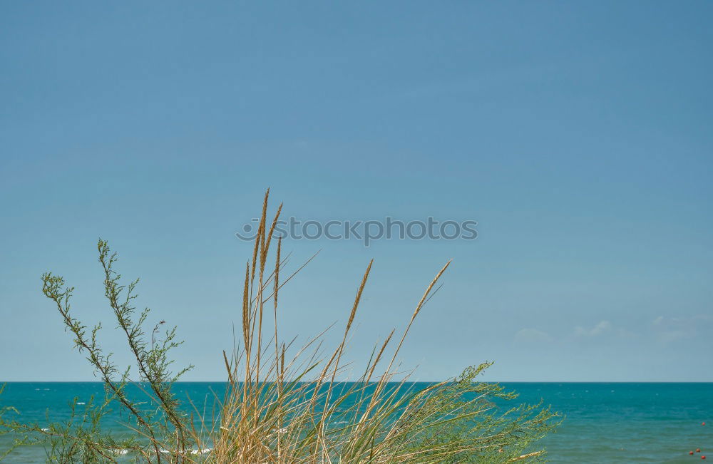 Similar – Image, Stock Photo Danish house by the sea