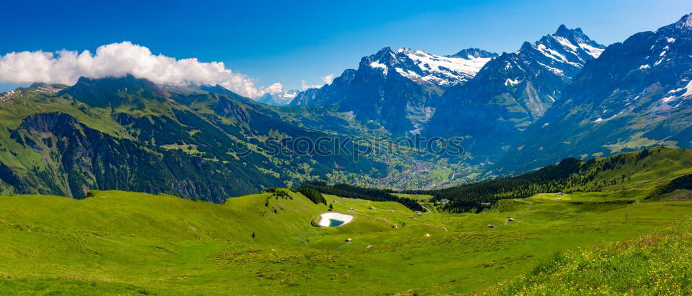 Similar – Image, Stock Photo View from the Üntschenspitze