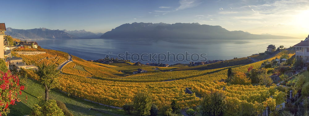 Similar – Cantabrian Sea Nature